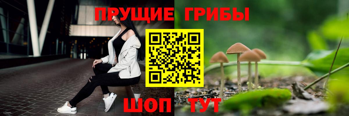Галлюциногенные грибы Psilocybine cubensis  Псилоцибиновые грибы Cubensis  Кемерово  Вход с VPN 